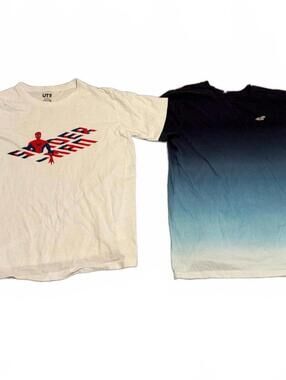 Uniqlo & Hollister Mens Lot of T-Shirts Large